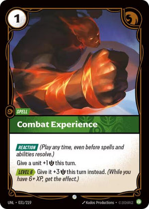 Combat Experience [031/219]