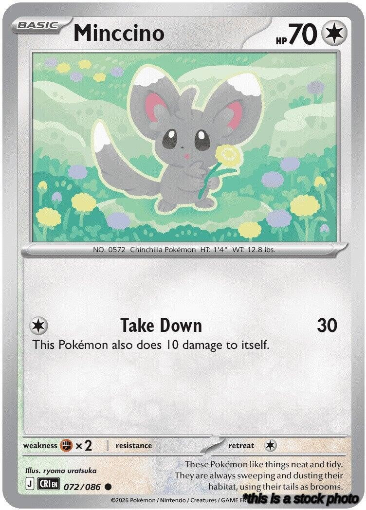 Common Minccino [072/086 Near Mint ]