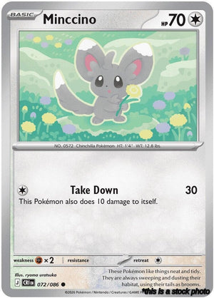 Common Minccino [072/086 Near Mint ]