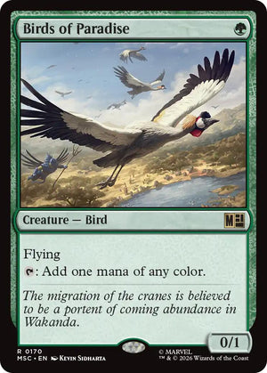 Birds of Paradise [MSC - 170]