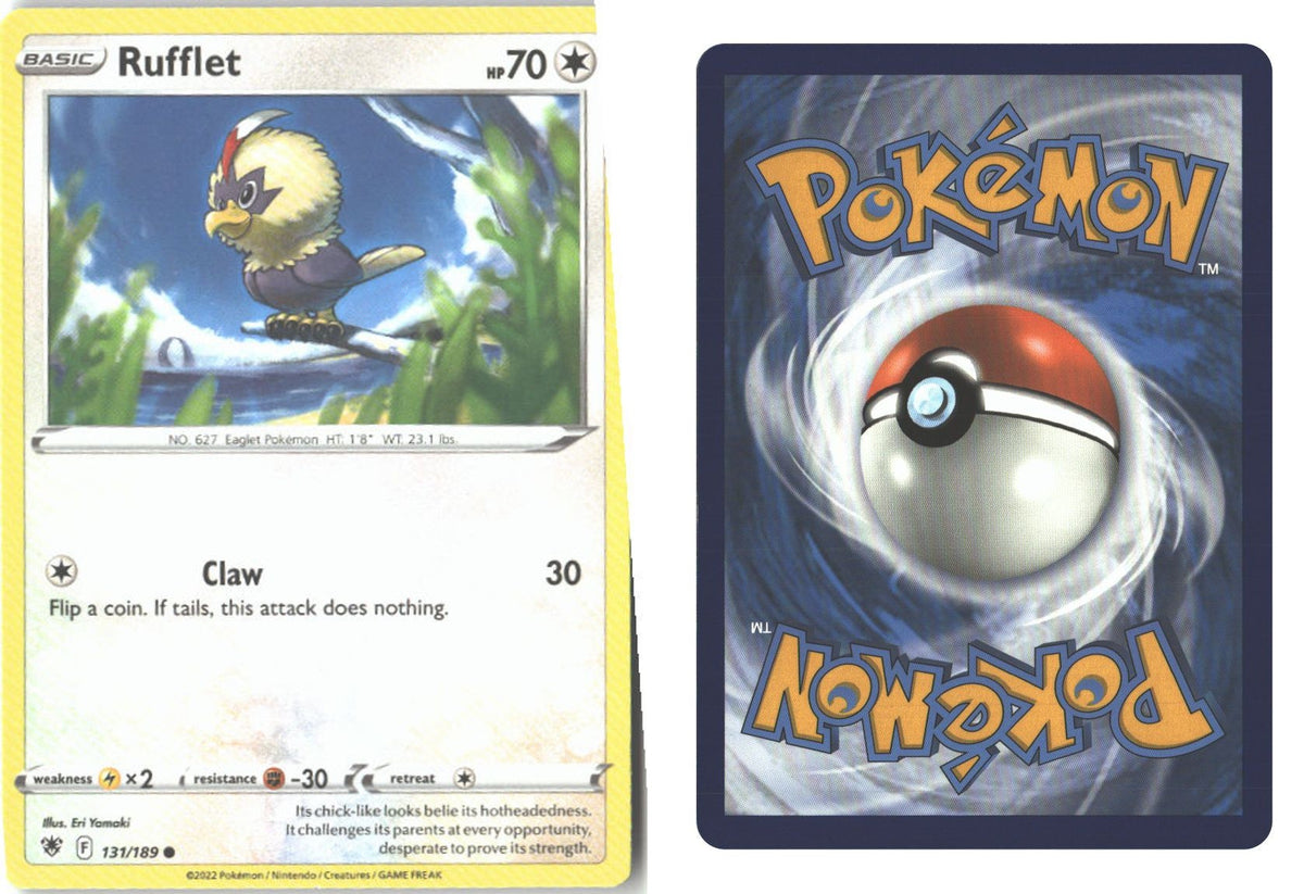 Front + Back scan