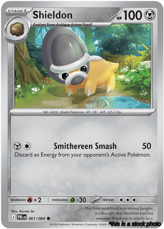Shieldon