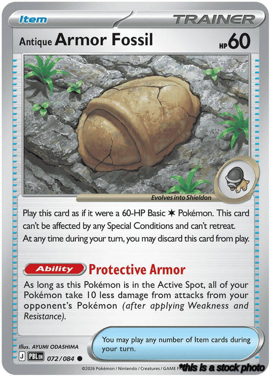 Antique Armor Fossil