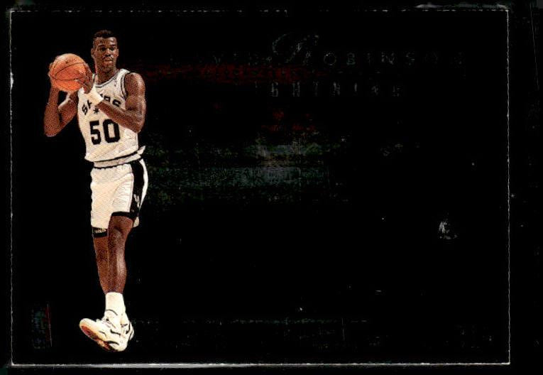 1993-94 SkyBox Premium #TL9 Rodman /Robinson