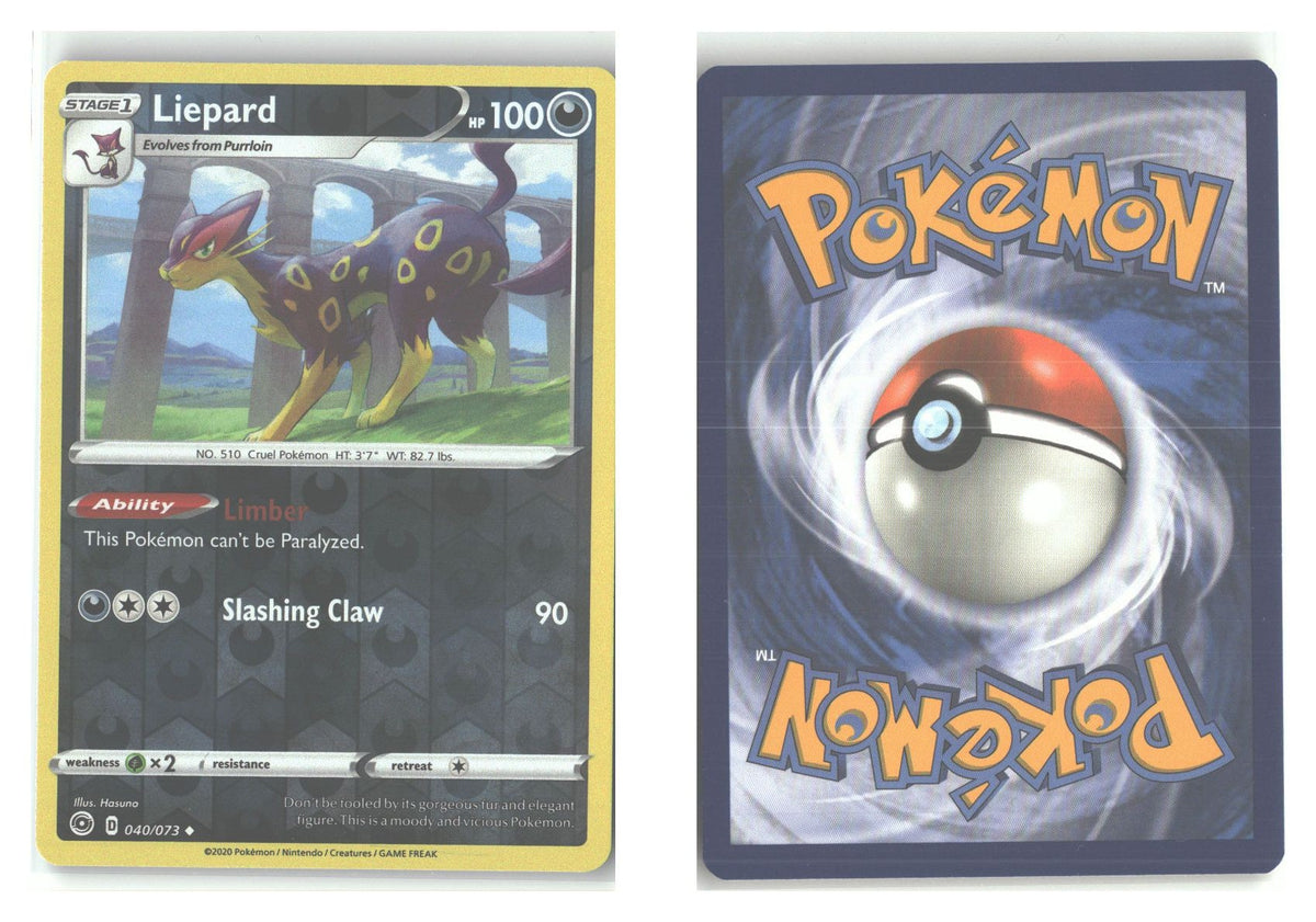 Front + Back scan
