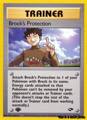Brock's Protection [G2 - 101/132]