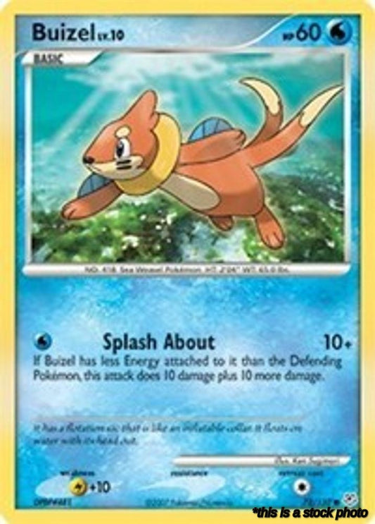 Buizel