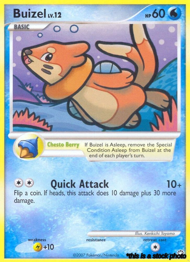 Buizel