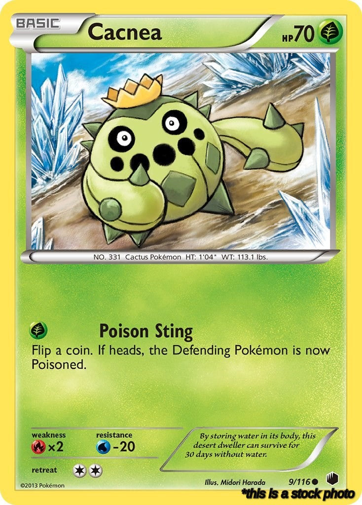 Cacnea