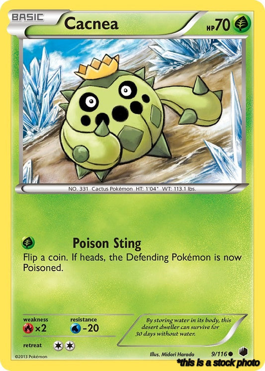 Cacnea