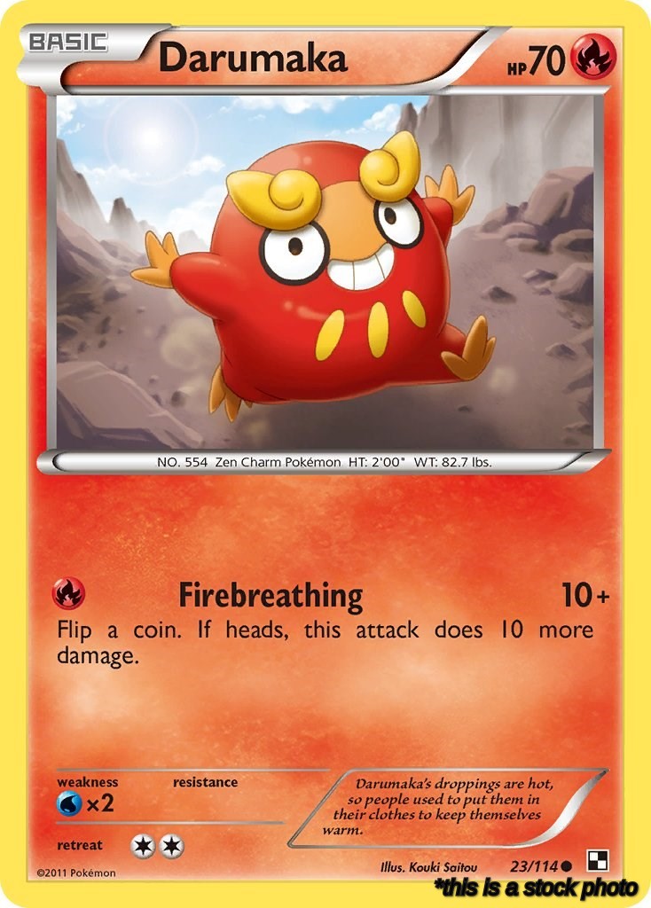 Darumaka (23)