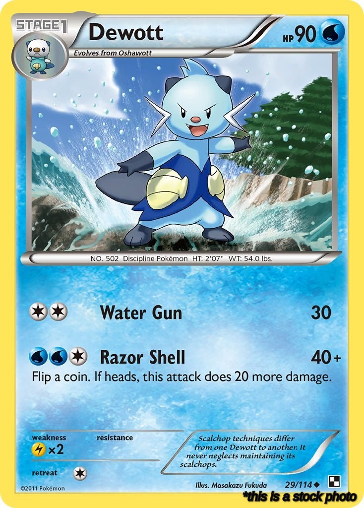 Dewott (29)