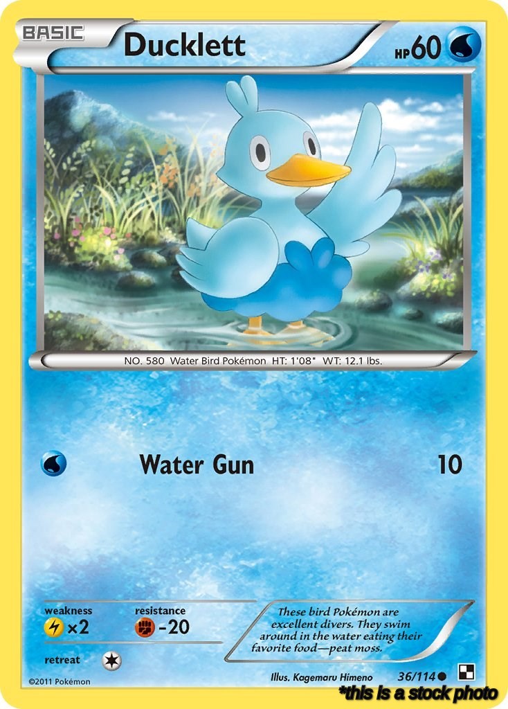 36/114 Ducklett Common Normal