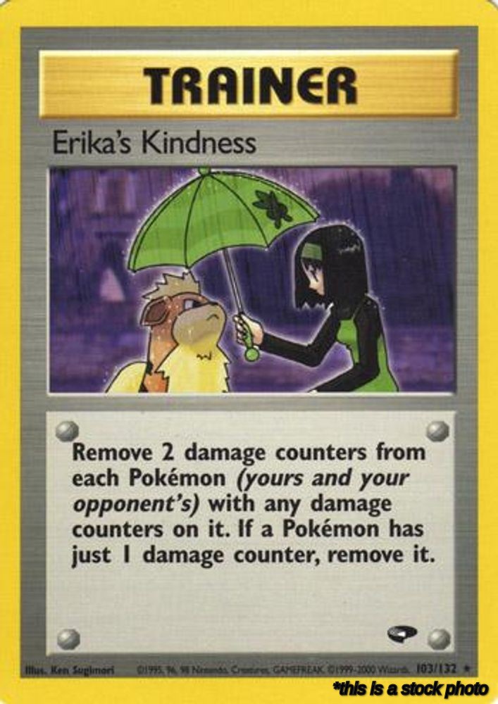Erika's Kindness