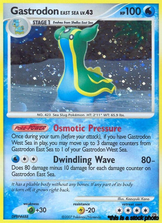 Gastrodon East Sea