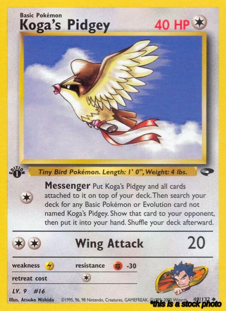 Koga's Pidgey (49)