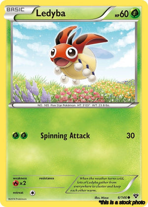 Common Ledyba [6/146 Lightly Played ]