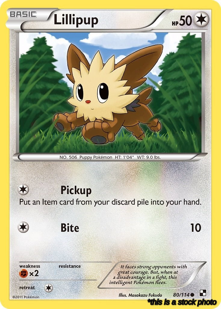 Lillipup (80)