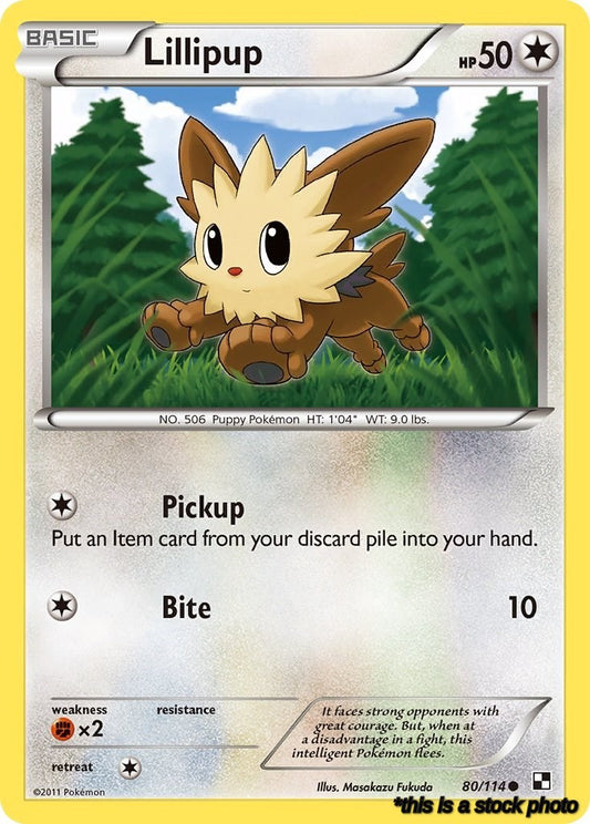 Lillipup (80)