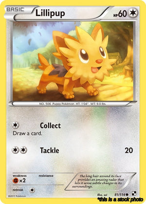 81/114 Lillipup (81) Common Normal