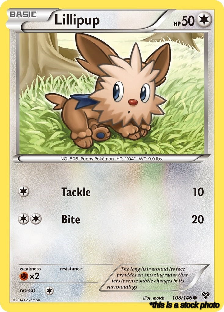 108/146 Lillipup Common Reverse Holofoil