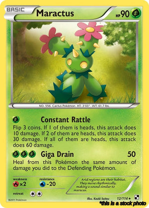 12/114 Maractus (12) Rare Normal