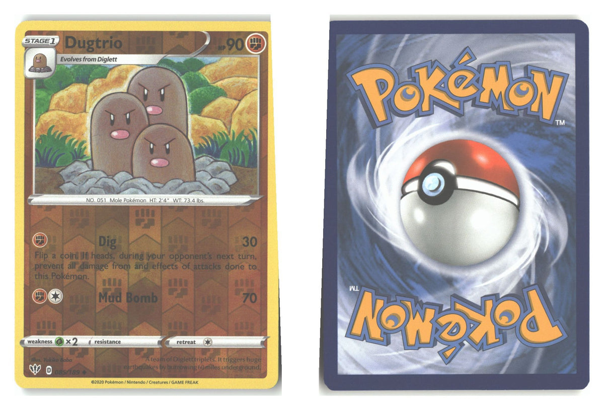 Front + Back scan