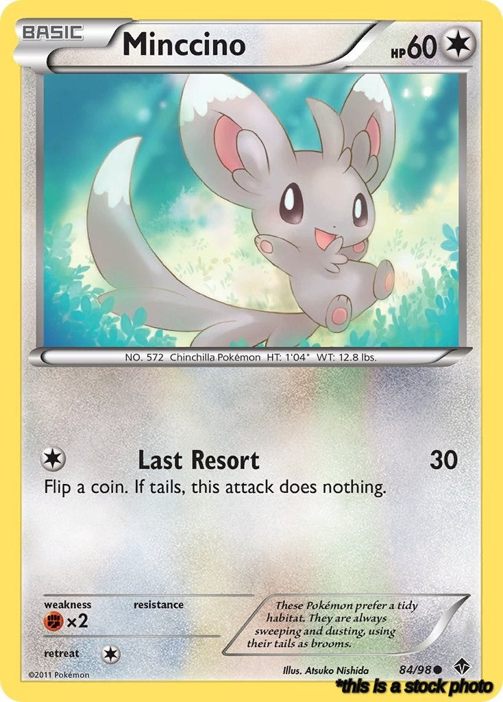 Minccino