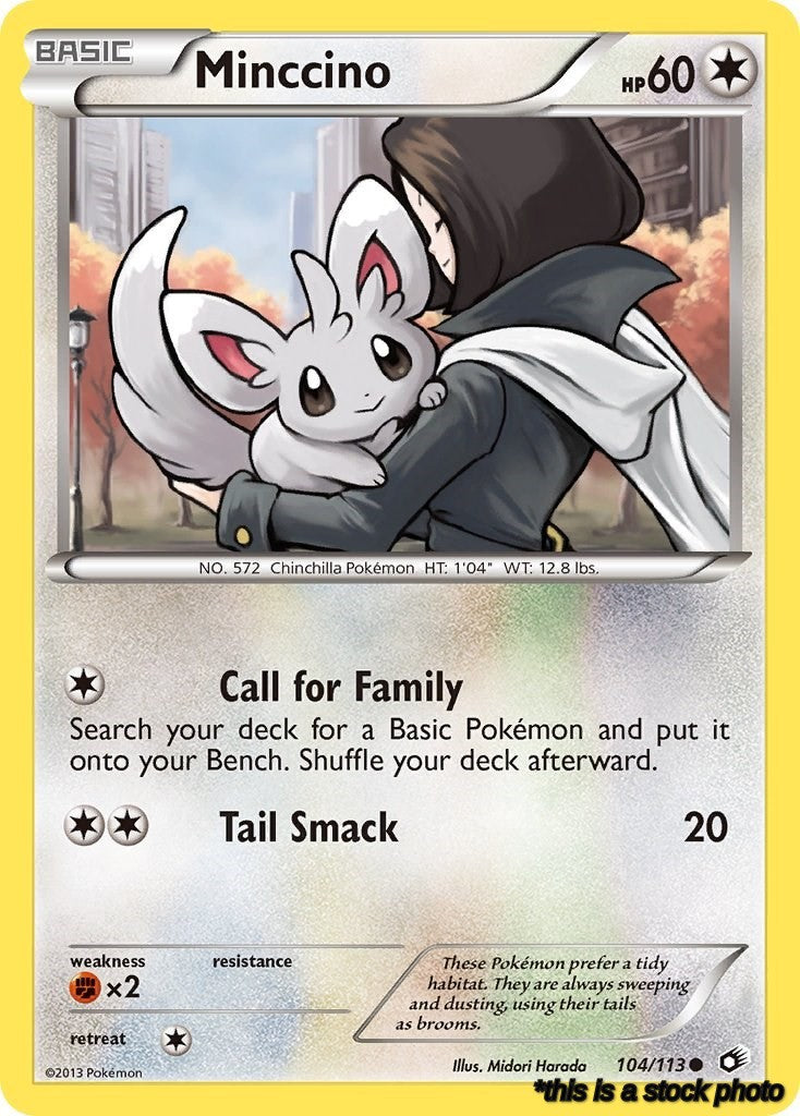 Normal Minccino [104/113 Near Mint ]