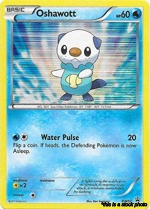 BW03 Oshawott Promo Holofoil