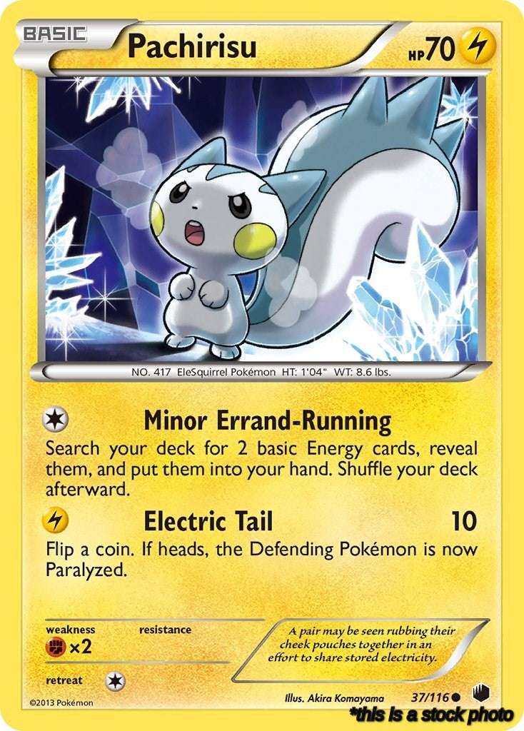 Pachirisu