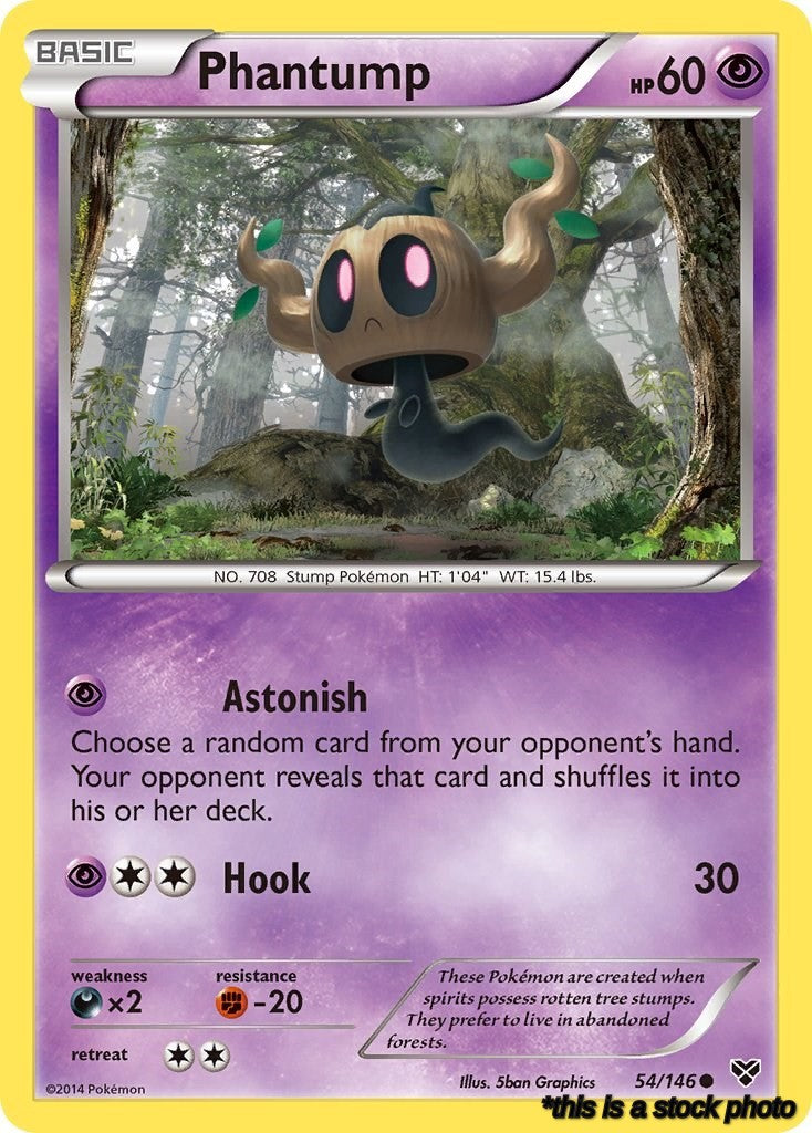 54/146 Phantump Common Reverse Holofoil