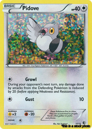 Holofoil Pidove - 11/12 [011/012 Near Mint ]