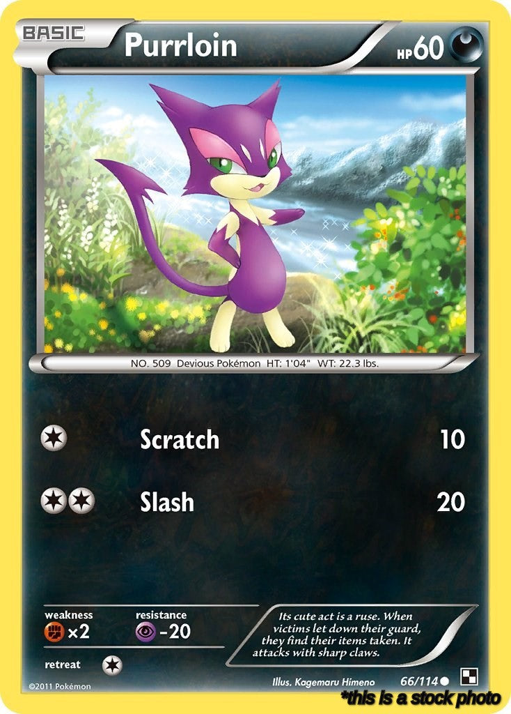 Purrloin