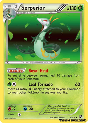 6/114 Serperior (6) Holo Rare Holofoil