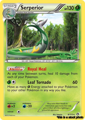 Holofoil Serperior [8/113 Near Mint ]
