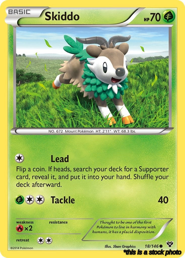 Skiddo