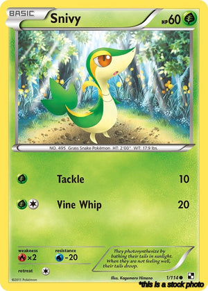 1/114 Snivy (1) Common Normal