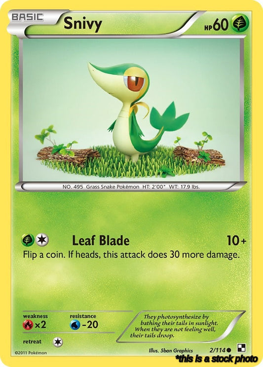Snivy (2)