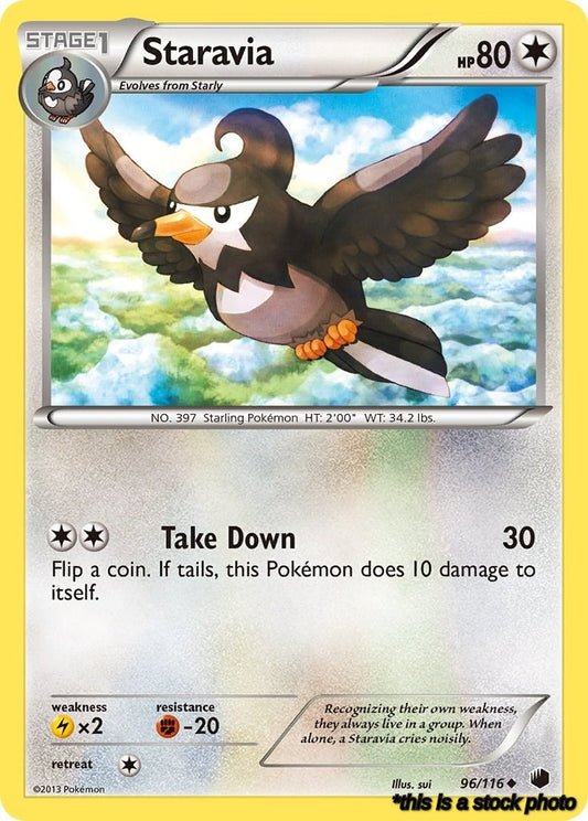 Staravia