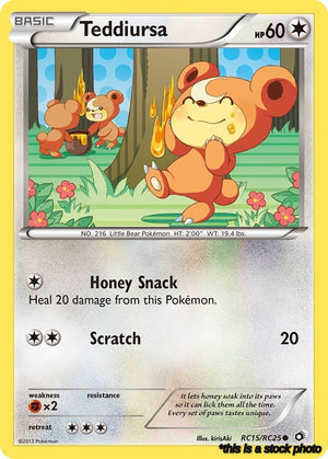 RC15/RC25 Teddiursa Common Holofoil