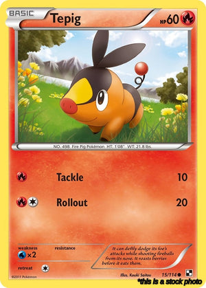 15/114 Tepig (15) Common Normal
