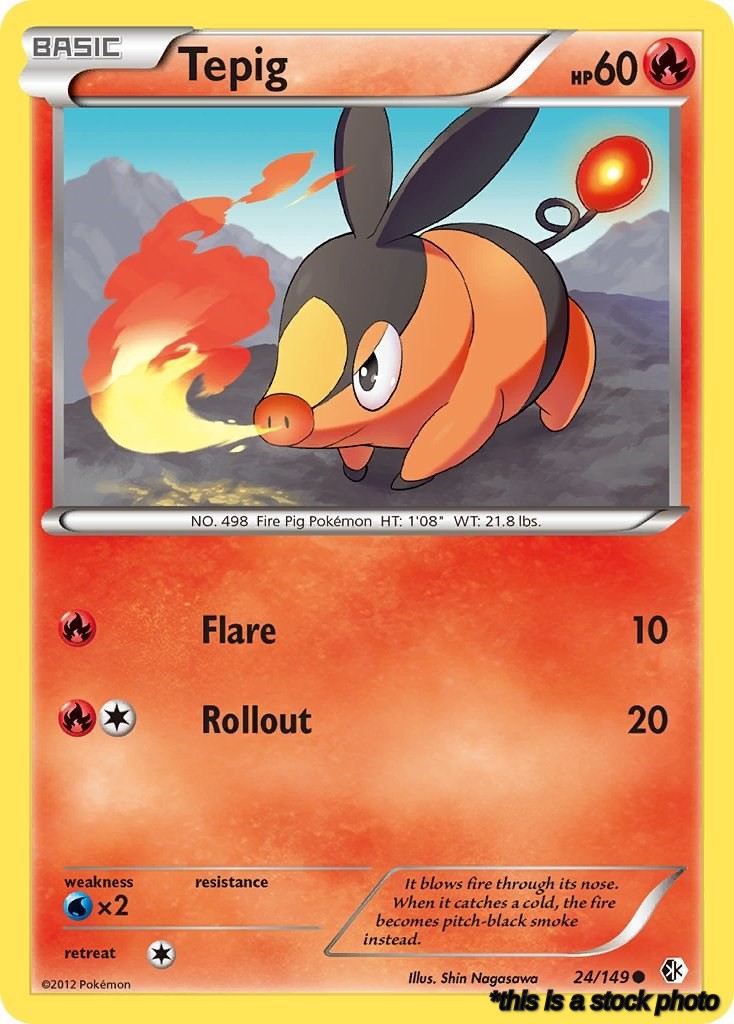Tepig