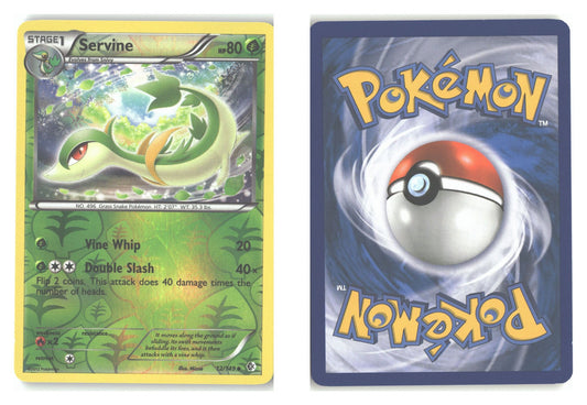 Front + Back scan