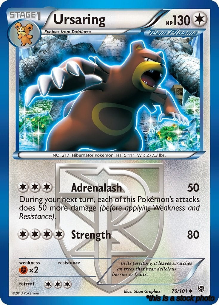 Normal Ursaring (Team Plasma) [76/101 Near Mint ]