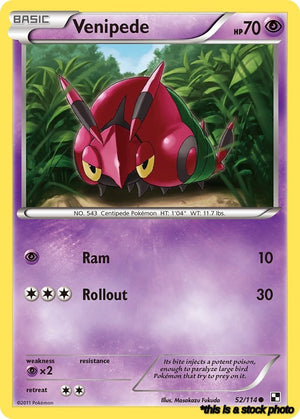 52/114 Venipede Common Normal Lightly Played