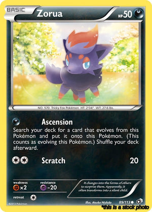 Common Zorua [89/113 Lightly Played ]