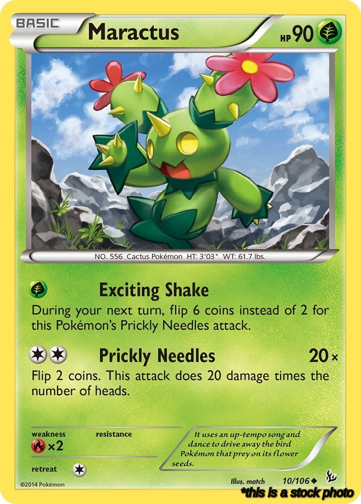Maractus