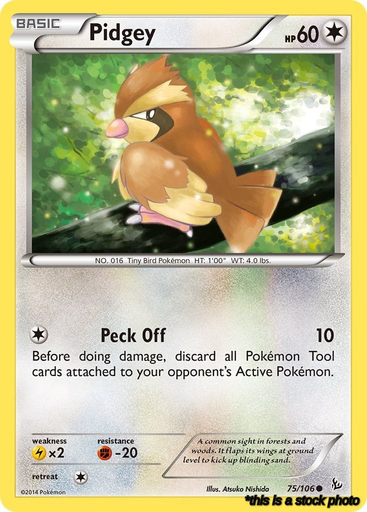 Pidgey