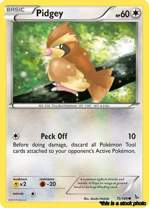 75/106 Pidgey Common Normal